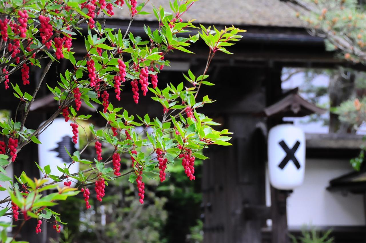 Sanboin Hotel Koyasan Exterior photo